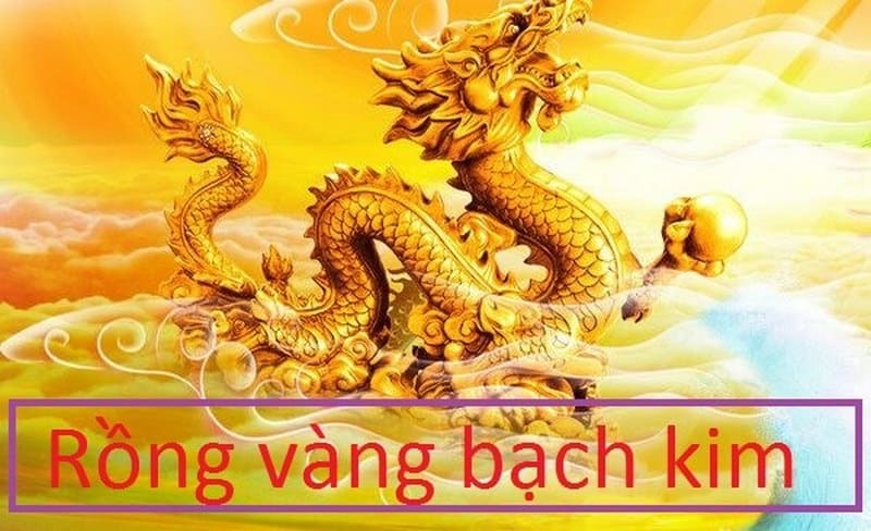 Rồng vàng bạch kim được coi là hệ thống soi cầu KQXS chuẩn xác nhất S666